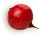 Начало 13